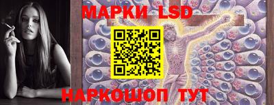 стаф Бузулук