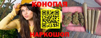 молекула духа Будённовск