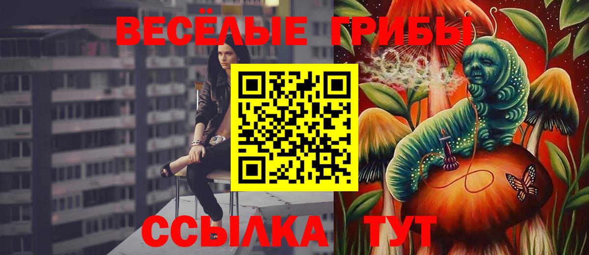 Псилоцибиновые грибы ЛСД  Вход с VPN  Лесосибирск 